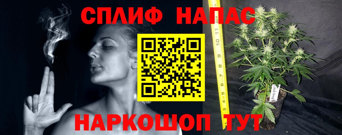 Шишки марихуана тримм  Канабис план  Бошки Шишки ГИДРОПОН  Вход с VPN  Липецк 